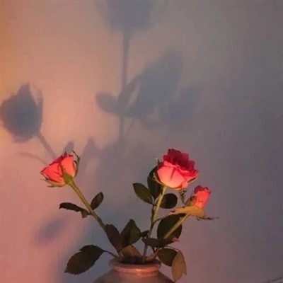 2023一看就舒心的微信头像(优选22张)