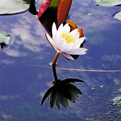 2023一看就舒心的微信头像(优选22张)