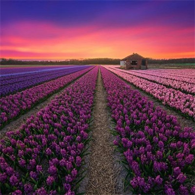 微信头像风景图片大全最好看的(优选20张)