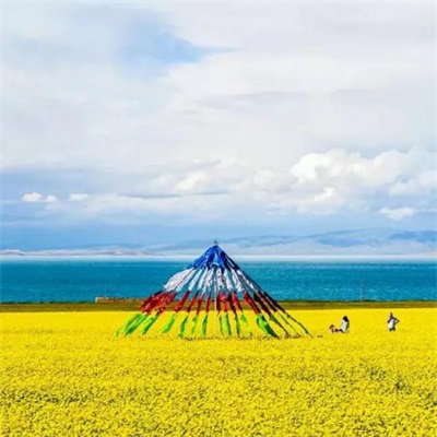 微信头像风景图片大全最好看的(优选20张)