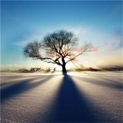 2023最适合男人的微信头像(14张)