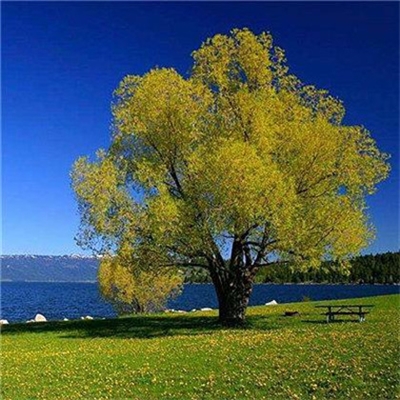 2023最适合男人的微信头像(14张)