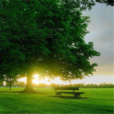 2023成熟男士专用微信头像(共12张)