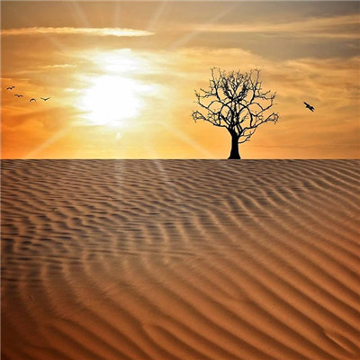 2023成熟男士专用微信头像(共12张)