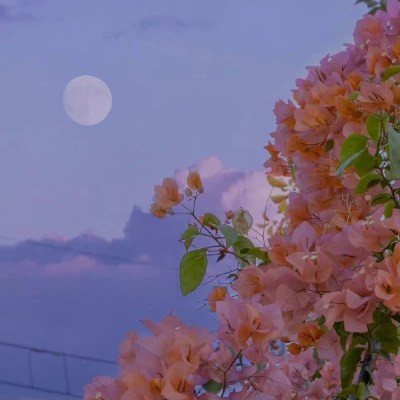 2023带来好运的微信头像(共20张)