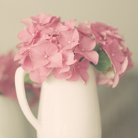 清新小花头像微信头像(精选18张)