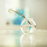 清新小花头像微信头像(精选18张)