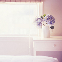 清新小花头像微信头像(精选18张)