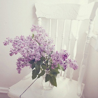 清新小花头像微信头像(精选18张)