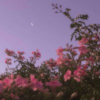 优美微信风景头像(精选20张)