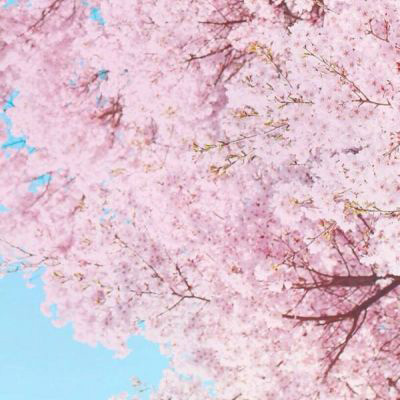 优美微信风景头像(精选20张)