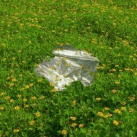 优美微信风景头像(精选20张)