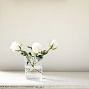 阳光干净的微信头像图片(精选20张)