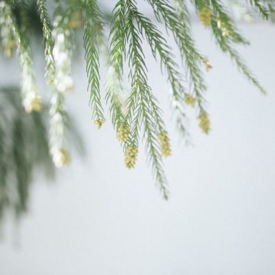 阳光干净的微信头像图片(精选20张)