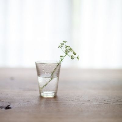 阳光干净的微信头像图片(精选20张)