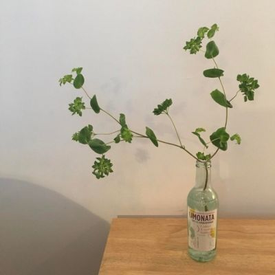 阳光干净的微信头像图片(精选20张)