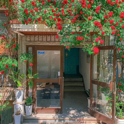 2023微信朋友圈背景图片头像(优选22张)