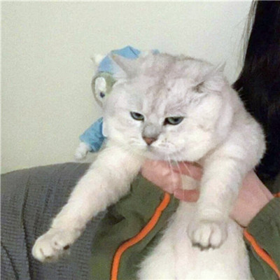 2023年全新好看的最新款情头(22张)