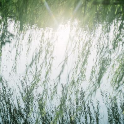 简单的头像干净静物小清新图片(优选22张)