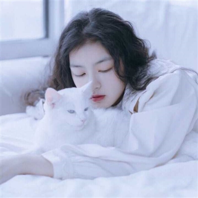 漂亮女生怀抱萌猫头像大全(精选24张)
