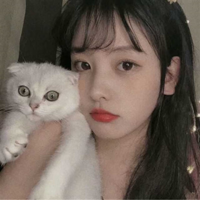 漂亮女生怀抱萌猫头像大全(精选24张)