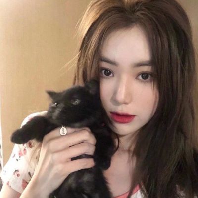 漂亮女生怀抱萌猫头像大全(精选24张)