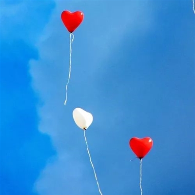 清爽干净的图片微信头像(精选22张)