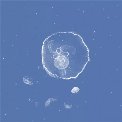 清爽干净的图片微信头像(精选22张)