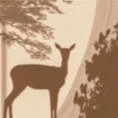 清爽干净的图片微信头像(精选22张)