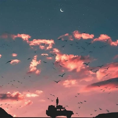 清爽干净的图片微信头像(精选22张)