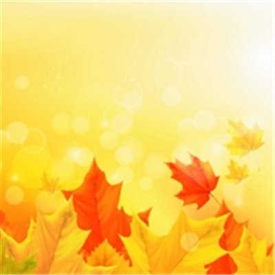 清爽干净的图片微信头像(精选22张)