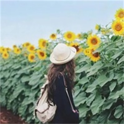 微信女生头像小清新背影高清图片(精选22张)