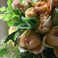 微信头像图片大全花朵唯美图片精选(共24张)