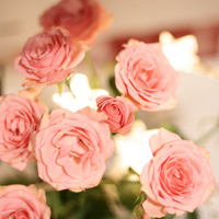 微信头像图片大全花朵唯美图片精选(共24张)