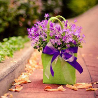 微信头像图片大全花朵唯美图片精选(共24张)