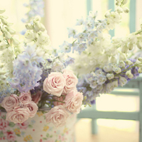 微信头像图片大全花朵唯美图片精选(共24张)