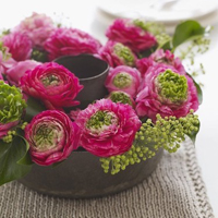 微信头像图片大全花朵唯美图片精选(共24张)