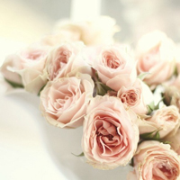 微信头像图片大全花朵唯美图片精选(共24张)