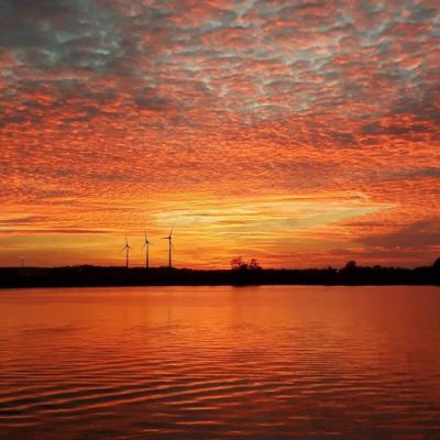 吉祥好运的微信头像图片(20张)