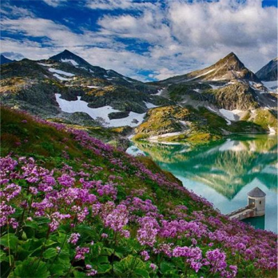 吉祥好运的微信头像图片(20张)