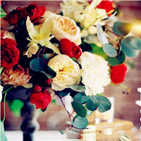 适合做头像的花好看的花朵图片(24张)