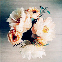 适合做头像的花好看的花朵图片(24张)