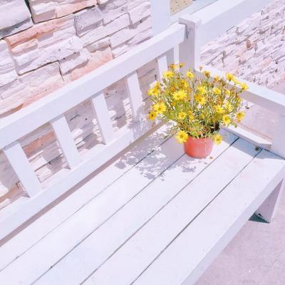 适合做头像的花好看的花朵图片(24张)