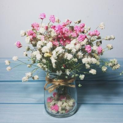 适合做头像的花好看的花朵图片(24张)