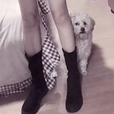 优质部位女头腿控头像(精选28张)