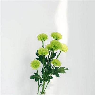 充满正能量的头像图片(精选22张)