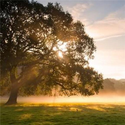 正能量微信头像图片大全(精选20张)