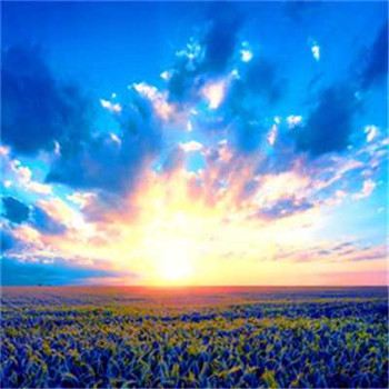 给你带来好运的微信头像(精选24张)