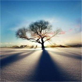 给你带来好运的微信头像(精选24张)