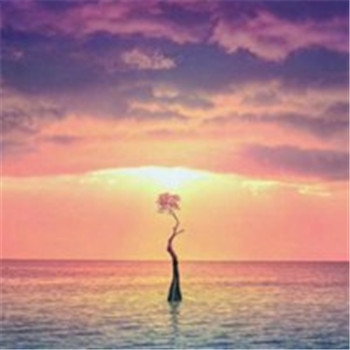 给你带来好运的微信头像(精选24张)